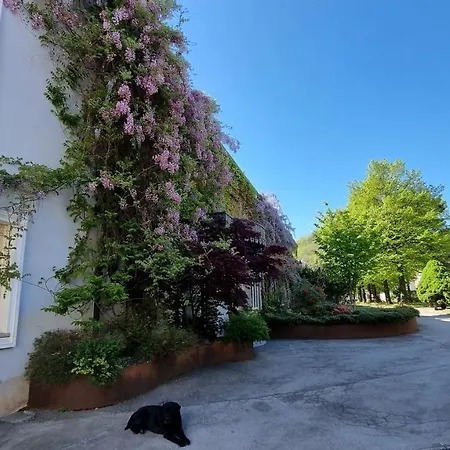 Hotel Albergo Ristorante Trieste Boves Boves