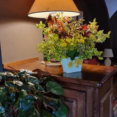 Albergo Trieste Hotel Boves